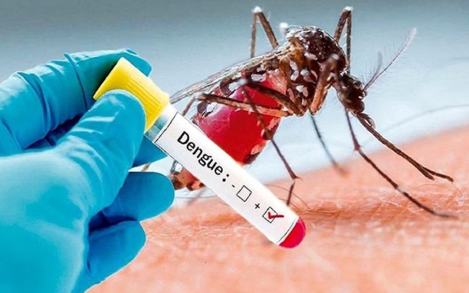 കർണാടകയിൽ ഡെങ്കിപ്പനി കേസുകൾ വർധിക്കുന്നു