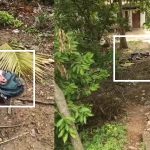 നവജാതശിശുവിനെ സ്കൂൾ ബാഗിലാക്കി ഉപേക്ഷിച്ച നിലയിൽ കണ്ടെത്തി