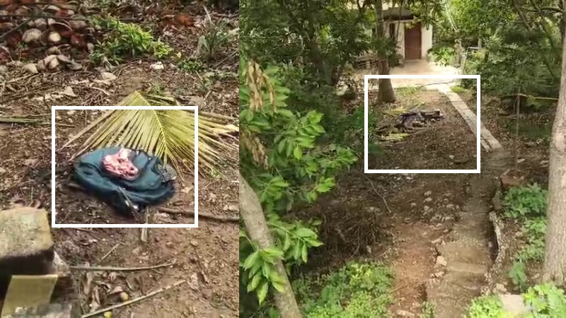 നവജാതശിശുവിനെ സ്കൂൾ ബാഗിലാക്കി ഉപേക്ഷിച്ച നിലയിൽ കണ്ടെത്തി