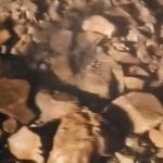 കൊട്ടിയൂർ പാൽച്ചുരം റോഡിൽ മണ്ണിടിച്ചൽ; ഗതാഗതം തടസ്സപ്പെട്ടു