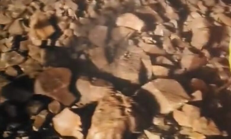 കൊട്ടിയൂർ പാൽച്ചുരം റോഡിൽ മണ്ണിടിച്ചൽ; ഗതാഗതം തടസ്സപ്പെട്ടു