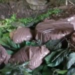 ജമ്മു കശ്മീരിലെ പൂഞ്ചില്‍ ഭീകരരുടെ ഒളിയിടം തകര്‍ത്തു; സ്‌ഫോടക വസ്തുക്കളടക്കം പിടിച്ചെടുത്തു