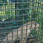 കാളികാവിലെ നരഭോജിക്കടുവയ്ക്ക് വച്ച കെണിയില്‍ കുടുങ്ങിയത് പുലി