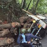 ലോറിയുടെ ടയര്‍ പൊട്ടി; താമരശ്ശേരി ചുരത്തില്‍ ഗതാഗതം സ്തംഭിച്ചു