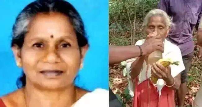 വനത്തിനുള്ളില്‍ കാണാതായ വയോധികയെ കണ്ടെത്തി