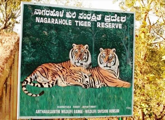 കനത്ത മഴ; നാഗർഹോളെ കടുവസംരക്ഷണകേന്ദ്രത്തിലെ സഫാരി റൂട്ട് അടച്ചു