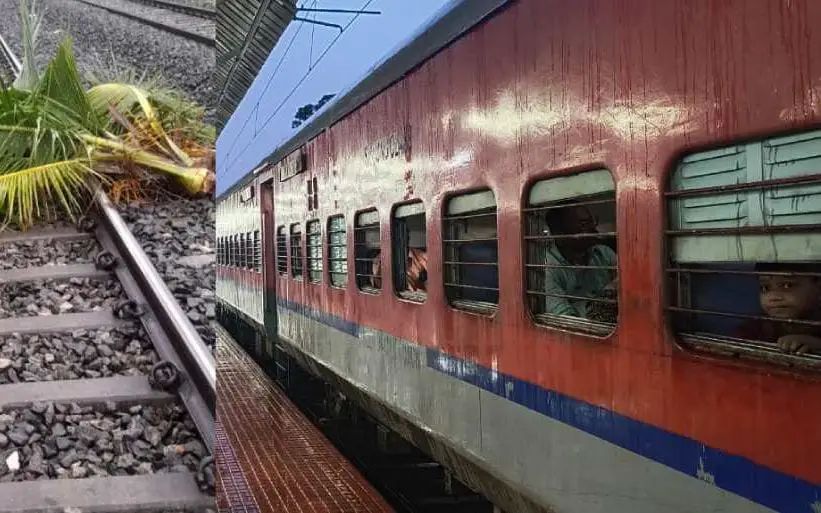 ട്രാക്കില്‍ തെങ്ങ് വീണു; ട്രെയിന്‍ സര്‍വീസുകള്‍ തടസപ്പെട്ടു
