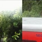തൃശൂരില്‍ ഓടിക്കൊണ്ടിരുന്ന ട്രെയിനിന് മുകളിലേക്ക് മരം വീണു