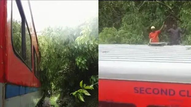 തൃശൂരില്‍ ഓടിക്കൊണ്ടിരുന്ന ട്രെയിനിന് മുകളിലേക്ക് മരം വീണു