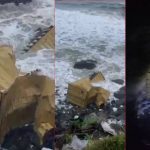 കൂടുതൽ കണ്ടെയ്നറുകൾ തീരത്തേക്ക്; തിരുവനന്തപുരം തീരത്തും അടിഞ്ഞു