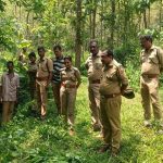 പത്തനംതിട്ടയിൽ കടുവയെ ചത്ത നിലയിൽ കണ്ടെത്തി