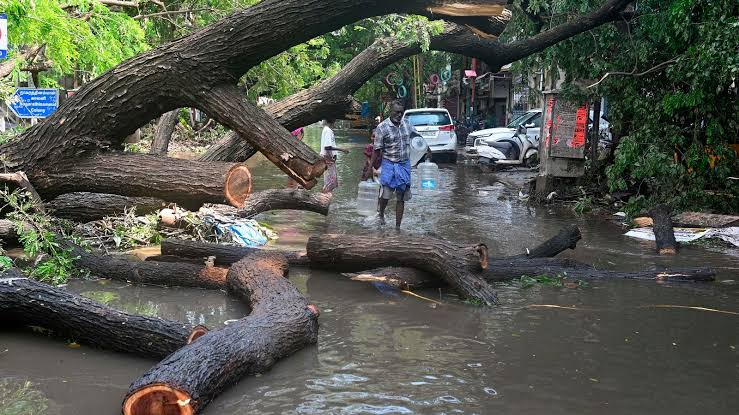 കനത്ത മഴയിൽ സ്കൂട്ടറിൽ മുകളിൽ മരം വീണ് അപകടം; യുവാവ് മരിച്ചു