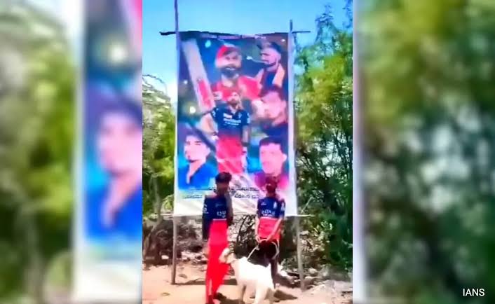 വിരാട് കോഹ്ലിയുടെ കട്ടൗട്ടിന് മുന്നിൽ ആടിനെ ബലി നൽകി; ആരാധകർ അറസ്റ്റിൽ