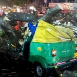 ഓട്ടോയ്ക്ക് മുകളിൽ മരം വീണ് അപകടം; ഒരാൾ മരിച്ചു