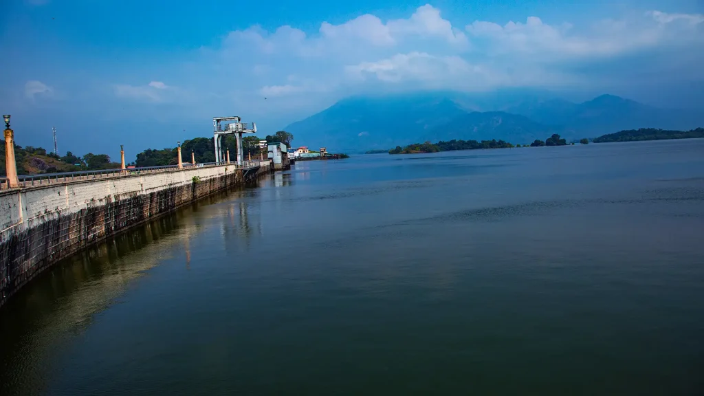 മലമ്പുഴ ഡാമിൽ സഹോദരങ്ങൾ മുങ്ങി മരിച്ചു