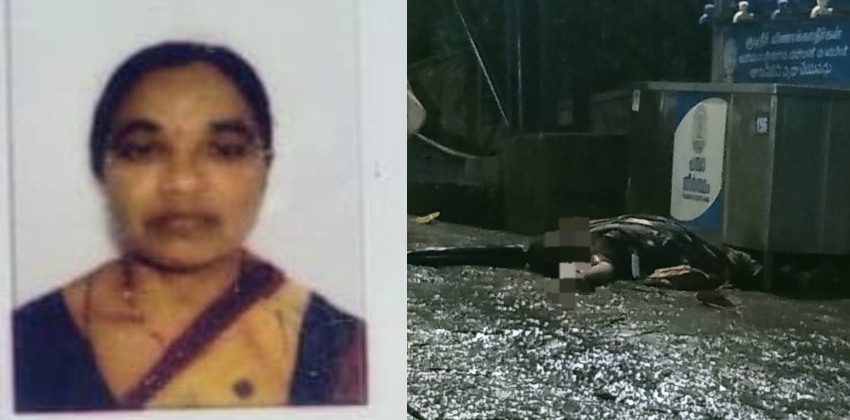 ദർശനം കഴിഞ്ഞ് മടങ്ങവെ നീലിമലയിൽ വച്ച് ഷോക്കേറ്റു; ശബരിമല തീർഥാടക മരിച്ചു